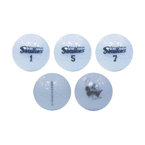 Stpi Ehpi St{[ v싅 NPBINgX[Y St{[ 6 YSBA-3756 yIRz