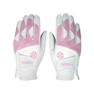 O[u  fB[X X|[c NICOTERA jRe fB[XpStO[u p NTGL-3407 yIRz