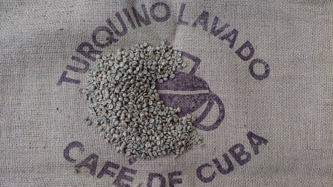 ご家庭で コーヒーを焙煎してみては いかがでしょうか？ キューバ コーヒー生豆 柔らかな質感の １ｋｇ 輝く高品質な ＴＬ