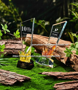   ƋLOi  v[g   LOi yG sAm ty y  \ JIP  Cxgpi ܕi ii gtB[ Jbv gtB[   