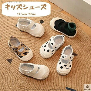 yzqC t@[XgV[Y LbY xr[V[Y Xj[J[ 4color xr[Xj[J[ Ԃ q C ~ c j̎q ̎q ʊw AEghA