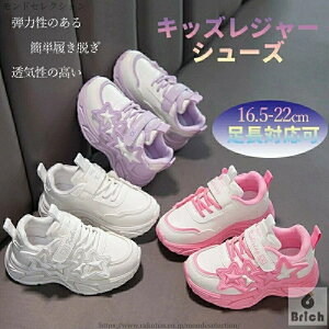 yzLbYW[V[Y qp Xj[J[ JWAV[Y c  VуV[Y K EH[LOV[Y e͐̂ ɗD ȒPE G{