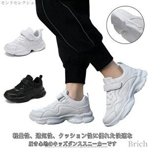 yz_XXj[J[ Cxg  zCg jp WMOV[Y tBbglX bV bX