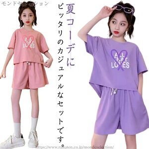 yzX|[cEFA  Y{ gbvX  V[gpc WjA ][g ̎q ZbgAbv q W[W 