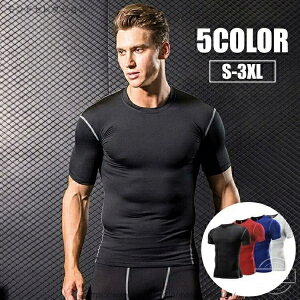 yzVv EhlbN  g[jOEFA gbvX X|[cEFA 傫TCY Y