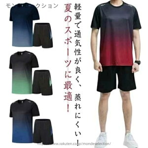 yztVc W[W fB[X Zp 2_Zbg jOEFA TVc  ㉺Zbg n[tpc