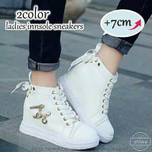 yz 킢 r  fB[X r  V[NbgV[Y C\[ nCJbg