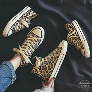 yz_XV[Y LoX y Xj[J[ 킢 qE [q[ [Jbg fB[X nCJbg