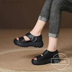 yzd  H t EH[LOV[Y K ʋC b  Xj[J[ lԍHw gAbv 5cm r y X|[cT_