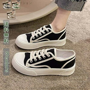 yzItBX AEghA 킢  zCg  _ ʋC Sn ɂȂ r t@bV pI H t A