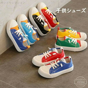 yz ~ ʉ X|[cC qǂ  ʋC qC V[Y c j̎q ̎q C Xj[J[