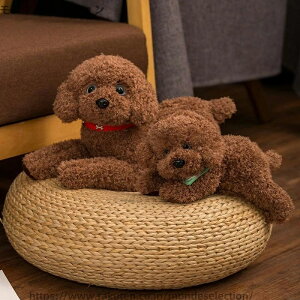 yzLN^[  Q gCv[h NbV 炩 {  A  v[h 