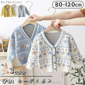 yz gbvX Ԃ xr[ LbY J[fBK  xr[ j̎q J[fBK q