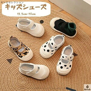 yzqC t@[XgV[Y LbY xr[V[Y Xj[J[ 4color xr[Xj[J[ Ԃ q C ~ c j̎q ̎q ʊw AEghA