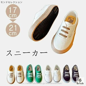 yzXj[J[ ₷ E₷ X|[c Vv j̎q ̎q jp V[Y JWA LbY xr[ C  ʉ w ʊw  lC 蕨