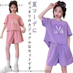 yzX|[cEFA  Y{ gbvX  V[gpc WjA ][g ̎q ZbgAbv q W[W 