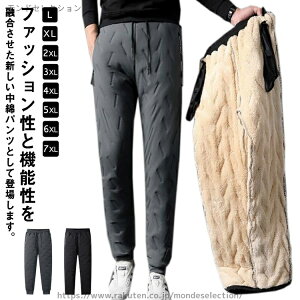 yz g Xg[gpc Y  ȃpc Y{ h Opc y StEFA N H~