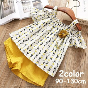 yzhbg [t  RT[W t V[gpc ItV_[  q ̎q LbY ㉺Zbg ZbgAbv