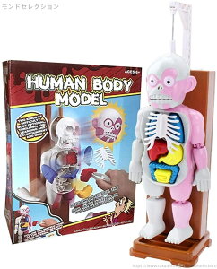 【送料無料】放課後の怪談シリーズ 理科室の模型 復元パズル おもちゃ 人体模型 恐怖!ドキドキクラッシュ ゾクッ人体模型【海外通販】