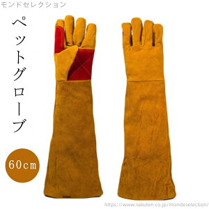 yz v L L bt  60cm  ybgO[u ঒ gg  O[u ~ ݂h~ ϋv