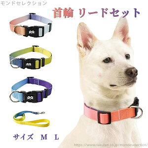 【送料無料】ブランド かわいい おしゃれ 犬 中型犬 グラデーション かわいい 散歩用 犬 リードセット 首輪 中大型犬 リード Mサイズ