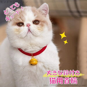 yz(STCY) TCY\ 傫 obN Lp qL ˂ t  L