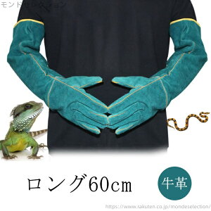 yz݂ L O ঒  60cm d  ybgO[u ybg ی v  S ݂h~ ݂h~ n