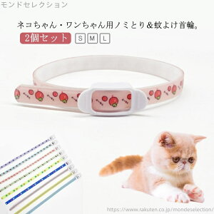 yzlR 2Zbg Lpi ^ _jLp ObY ^  M 悯 L m~Ƃ S h pi m~