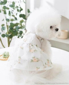 yz  ėp ĕ  m Lp Y ԕ LhX XJ[g Ls[X hbOEFA ybgm