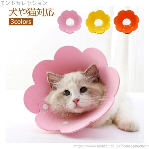 yzGUxXJ[ ybgplbJ[ IW F sN yʃ|GXe y15`36cmpz |bv Aj}lbJ[