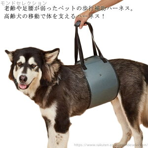 yzs⏕ hbO VjA n[lX p  ybg TCY nr L M XL gC⏕ n[lX S 㑫   n[lX