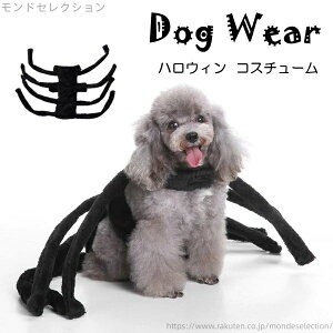 yz킢 j p halloween ybgpi ̕ ^ w N  ybg  hbOEFA nEB