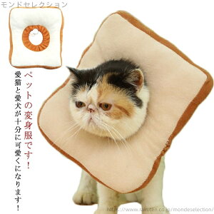 yzL Ԃ 킢 蕨 L GUxXJ[ g[Xgubh LY p LpXq \tg LY Lp  K[h