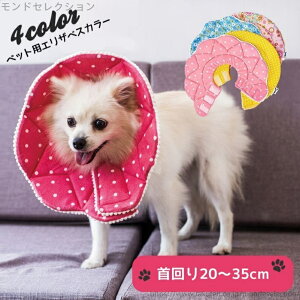 yz p }WbNe[v _炩 킢 rߖh~ ی ybgp Lbg hbO Lp p GUxXJ[