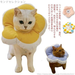 yzpEFA p Dp ~h~ y t[^  p h rߖh~  L M S \tg p Lp