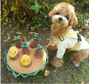 yzybg   Tc}C   mߋ ybg v[g pi p ybg pi }bg ybg v[g ނ XgX ybg V