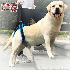 【送料無料】犬 犬用品 介護用品 老犬の介護 S/M/L/XLサイズ メッシュ 歩行サポート 後足用 ペット ケアハーネス 歩行補助ハーネス 介護