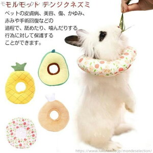 yz ybg  lR ^ ˂ L  畆 ybg D  킢 ی ETMpGUxXJ[