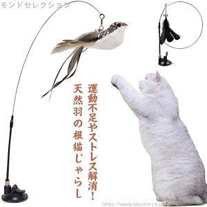 【送料無料】吸盤式 人気 おもちゃ 天然羽根 キャット 猫 鳥おもちゃ ねこじゃらし ペット用品 羽のおもちゃ おもちゃ 猫用品 猫おもちゃ