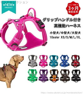 yz10F t`uhbO S  v   ^ ^ ^ ^ @\ n[lX \tgn[lX