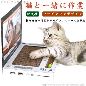 yz i{[ _{[ ܌ ܂Ƃ Lp L LpXNb`[ L i{[VRf L܂Ƃ