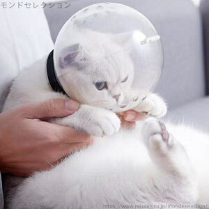 【送料無料】マズル 爪切り補助用噛みつき防止猫用 透明 可愛い 傷舐め防止 拾い食い防止 通気性 宇宙ヘッドギア口輪 ペットマスク 口輪