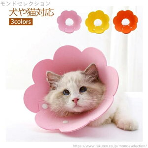 yzGUxXJ[ ybgplbJ[ IW F sN yʃ|GXe y15`36cmpz |bv Aj}lbJ[