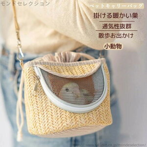 yzybgpi Sgѕ~̒g|[`gѕ v y ϋv ʋCQ Uo |g