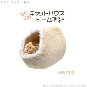 yzh[^LbgnEXyzCgz[21]