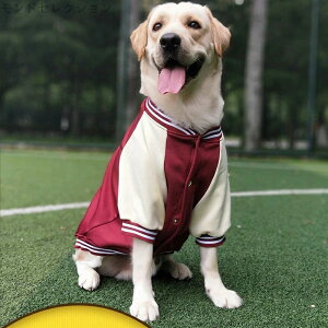 yzybgpi   R[gh ^ ^ |Pbgt  Jo[I[ R[g AE^[  hbOEFA