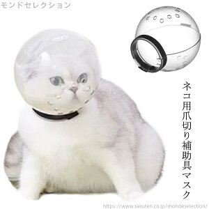 yzL   Lp GUxXJ[ ybg}XN Lp}XN Lp}Y FwbhMA ʋC  ܐ؂⏕p lR