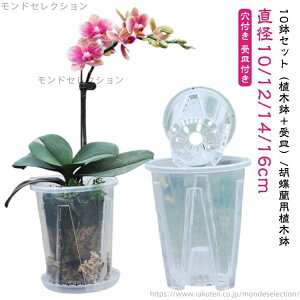 yzm  vX`bN Ӓ t I[Lbh|bg 10Zbg t Aؔ Ӓ̐Aւ Ӓ Zbg