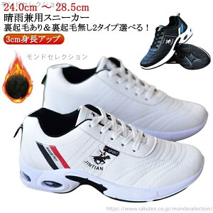 yzSt XpCNX ~ C StV[Y EH[LOV[Y j Y X|[cV[Y V[NbgXj[J[