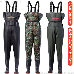 yz`FXgnCEF[_[ Y fB[X WA\[ WA tC  C EF[_[ C t ނ